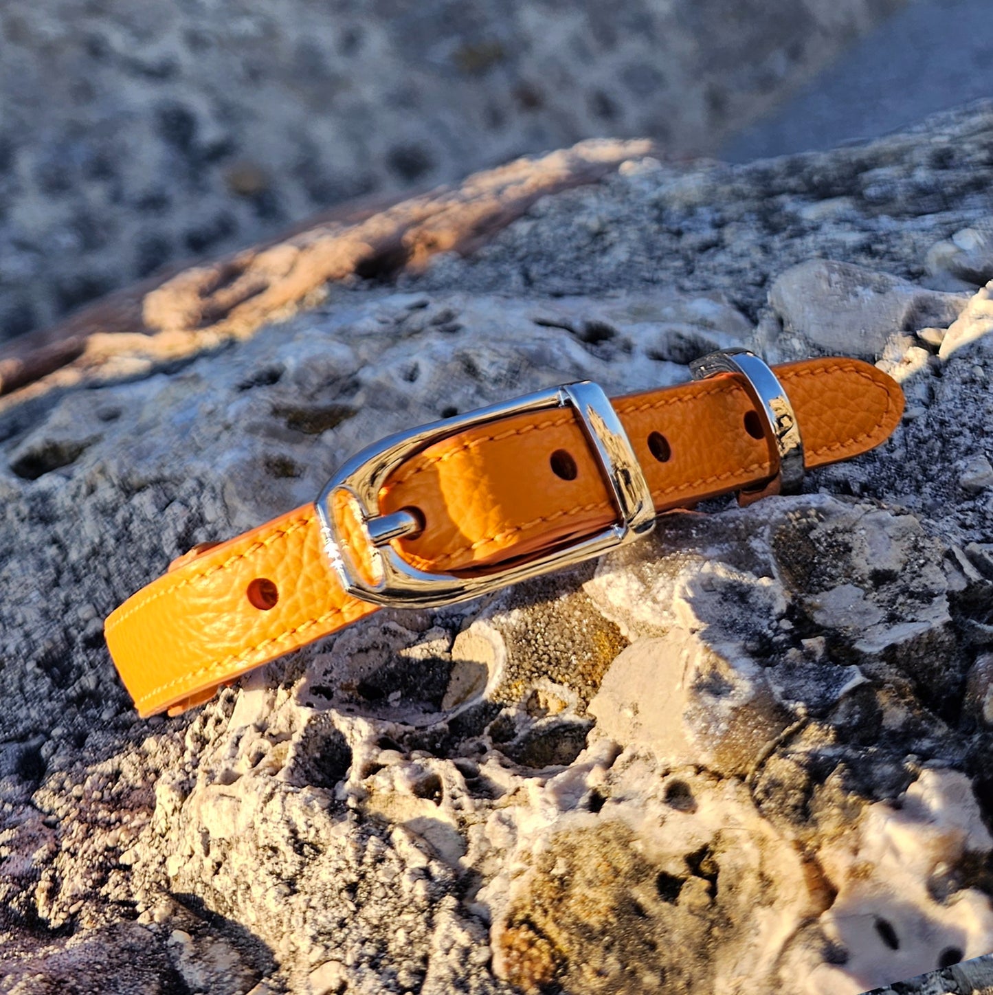 Collare Arancione