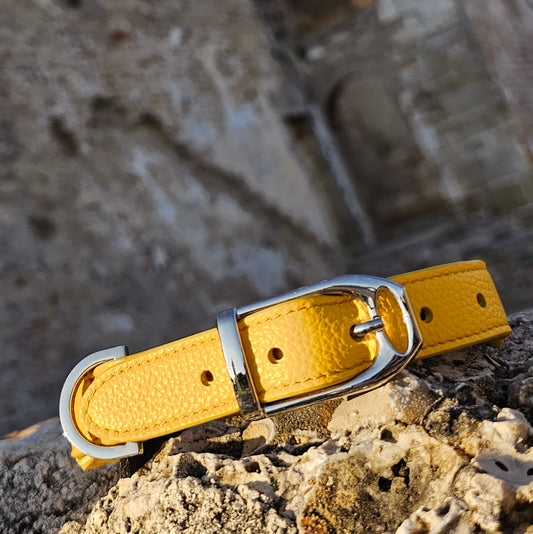 Collare Giallo