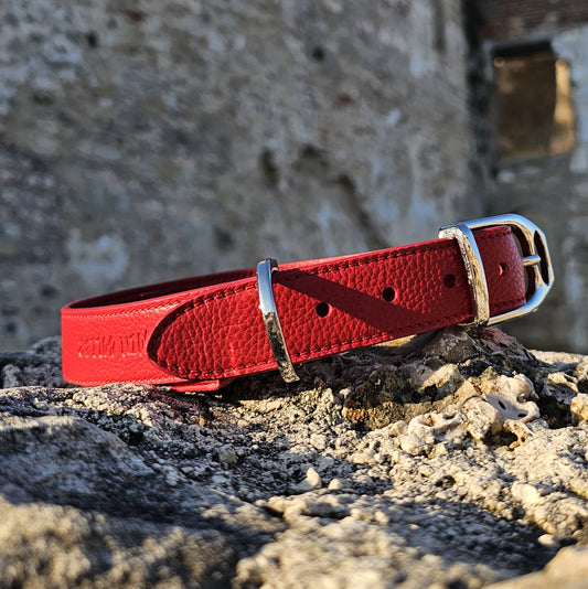 Cartier red collar