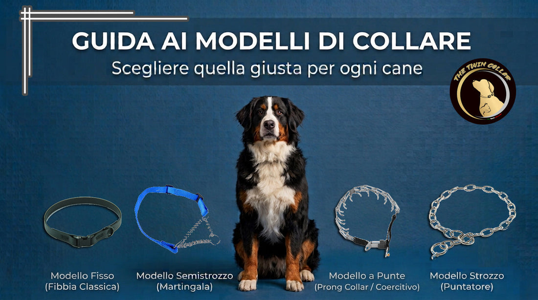 Guida ai modelli di collare