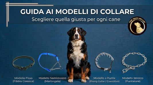 Guida ai modelli di collare