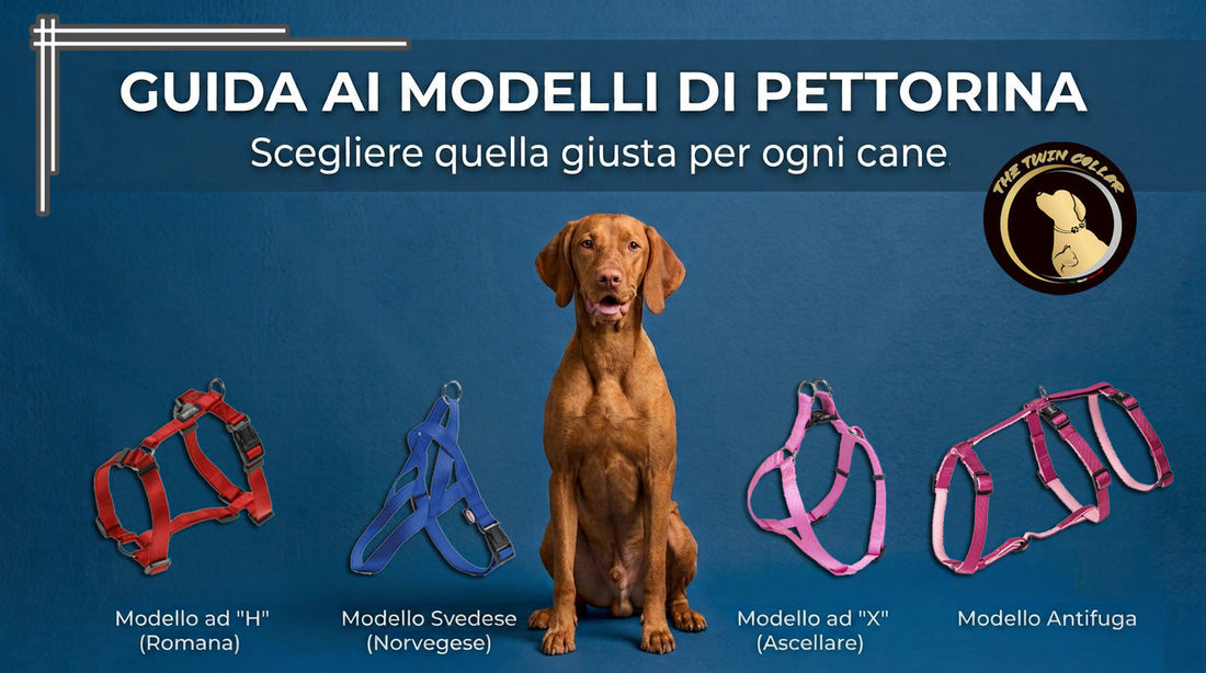 Guida ai modelli di pettorina