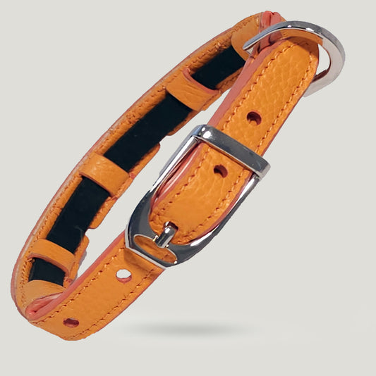 Collare Arancione