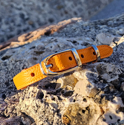 Collare Arancione