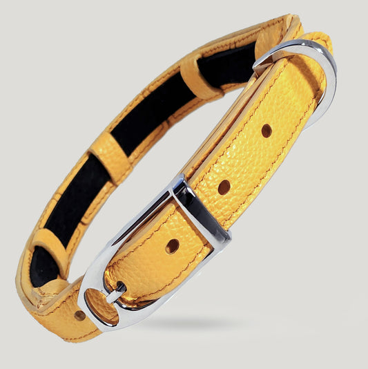 Collare Giallo