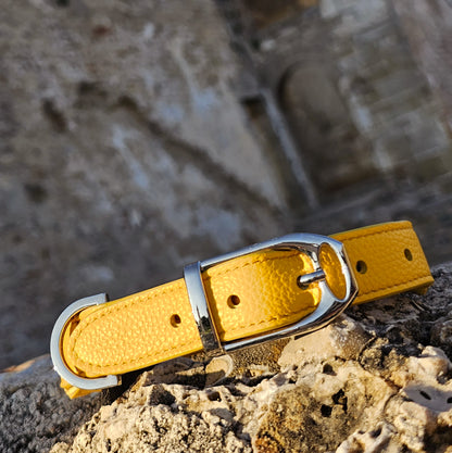 Collare Giallo