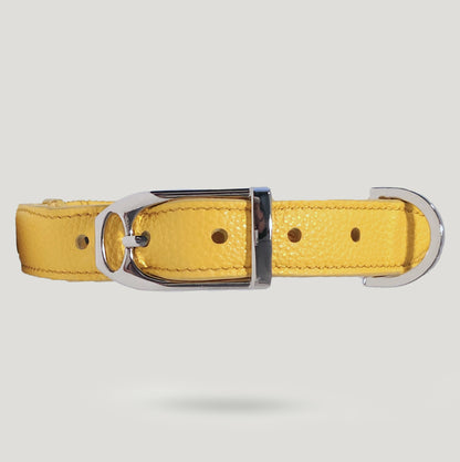Collare Giallo